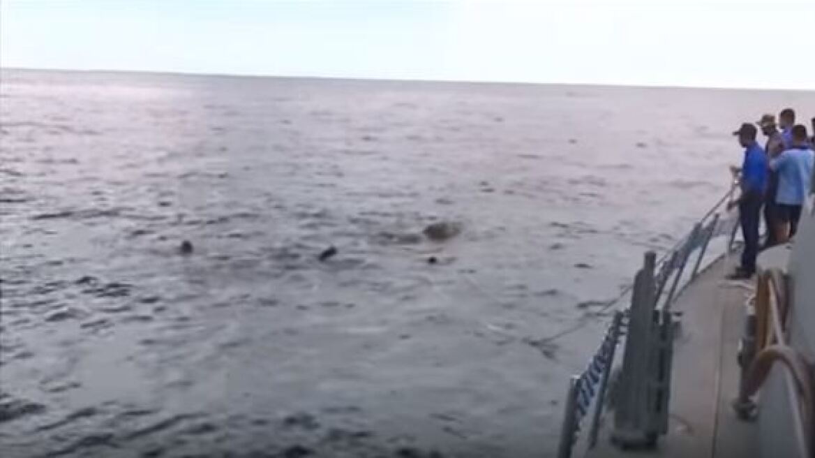 Απίστευτο βίντεο: Διάσωση ελέφαντα στη θάλασσα, 16 χλμ από την ακτή!